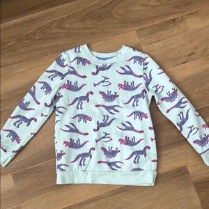 Dinosaur Print Kids Sweatshirt